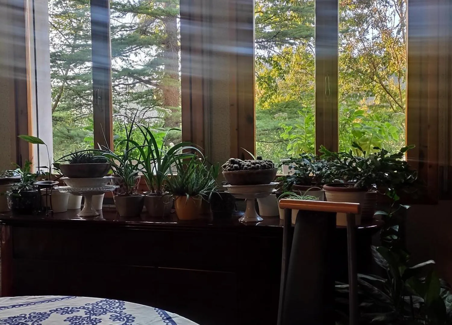 Bed & Breakfast Emilia Green Escape Bnb Marano